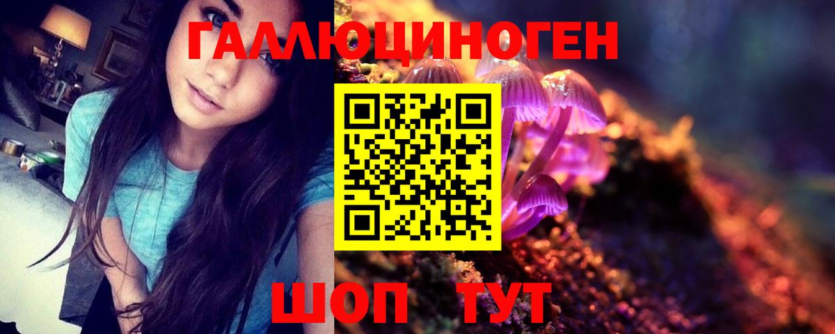 Тольятти  Галлюциногенные грибы прущие грибы  Вход с VPN  Псилоцибиновые грибы мухоморы 