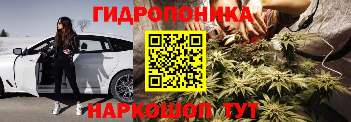 Конопля план  Вход с VPN  МАРИХУАНА гибрид  Тольятти 